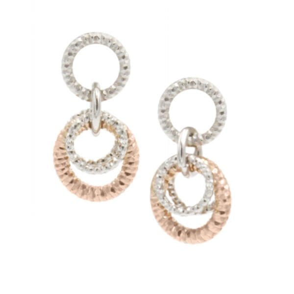 EAR01690