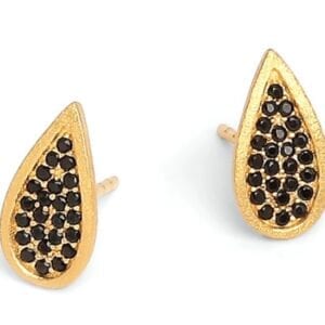 ear01580