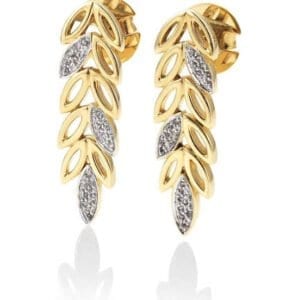 ear01657
