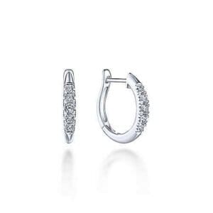 ear01725