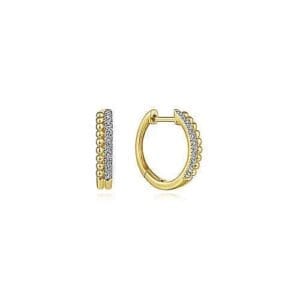 ear01740